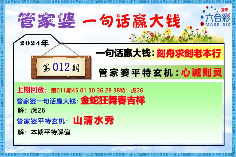 管家婆一肖一码最准资料公开 精选解析与落实策略版